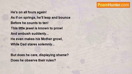 Denis Martindale - Lion Cub