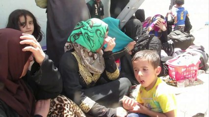 AFP - Le JT, 2ème édition du mercredi 11 juin