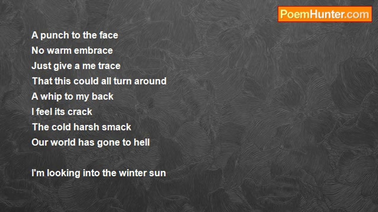 Kate Kate - Winter Sun