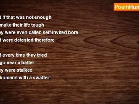 Soma Mukherjee - Fly Fly - Fly Away