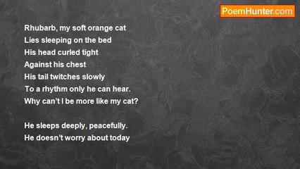 Thomas Noel Smith - Why Can't I Be More Like My Cat?