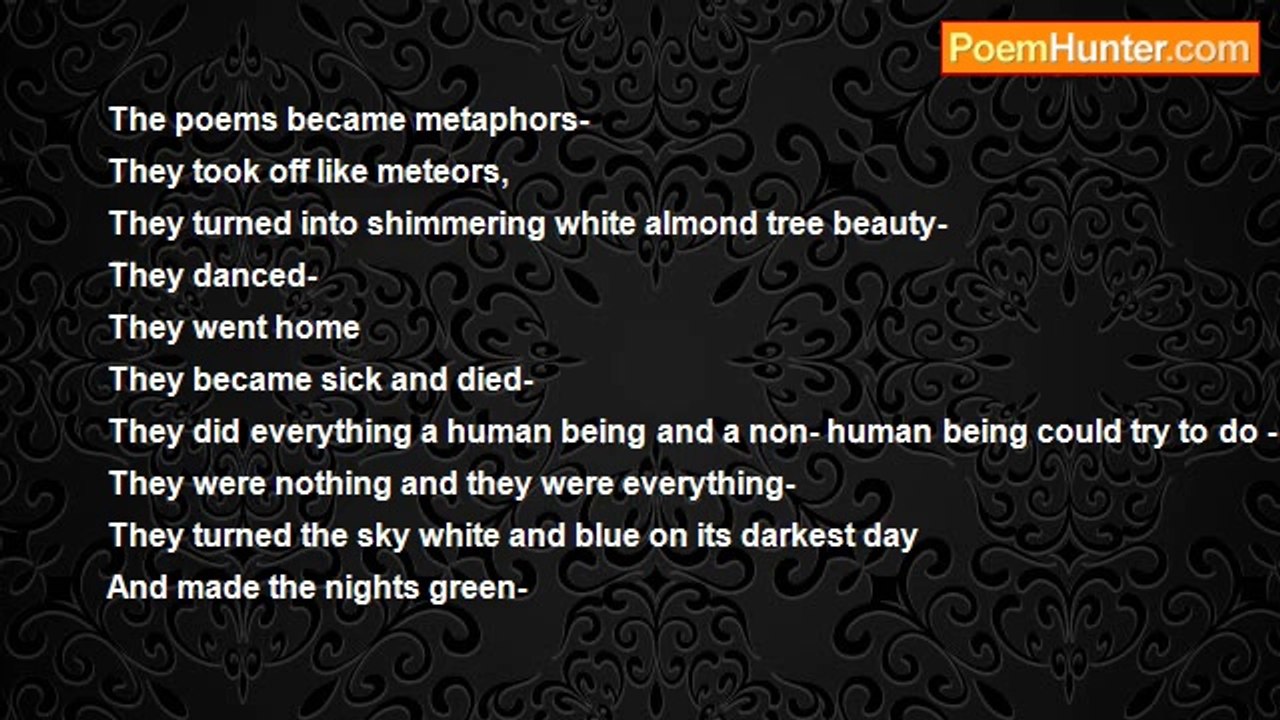 Shalom Freedman - The Poems Became Metaphors