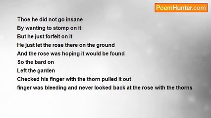 Jose Antonio Torres Galeana - The Rose With Thorns