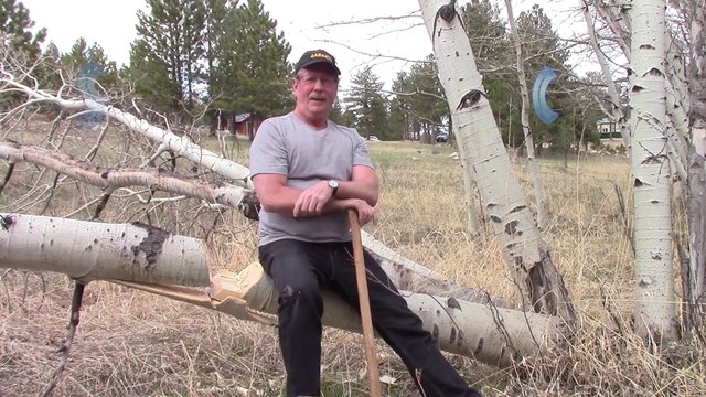 How to Use an Axe Sharpened by Sharpens Best