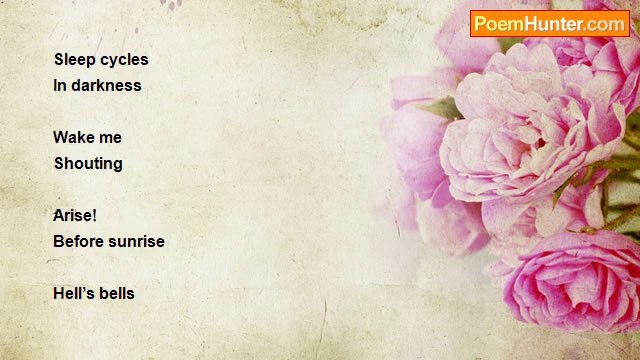 Lento Maez - I'm Dreaming