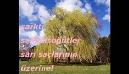 Zülfü Livaneli - Eğil Salkım Söğüt