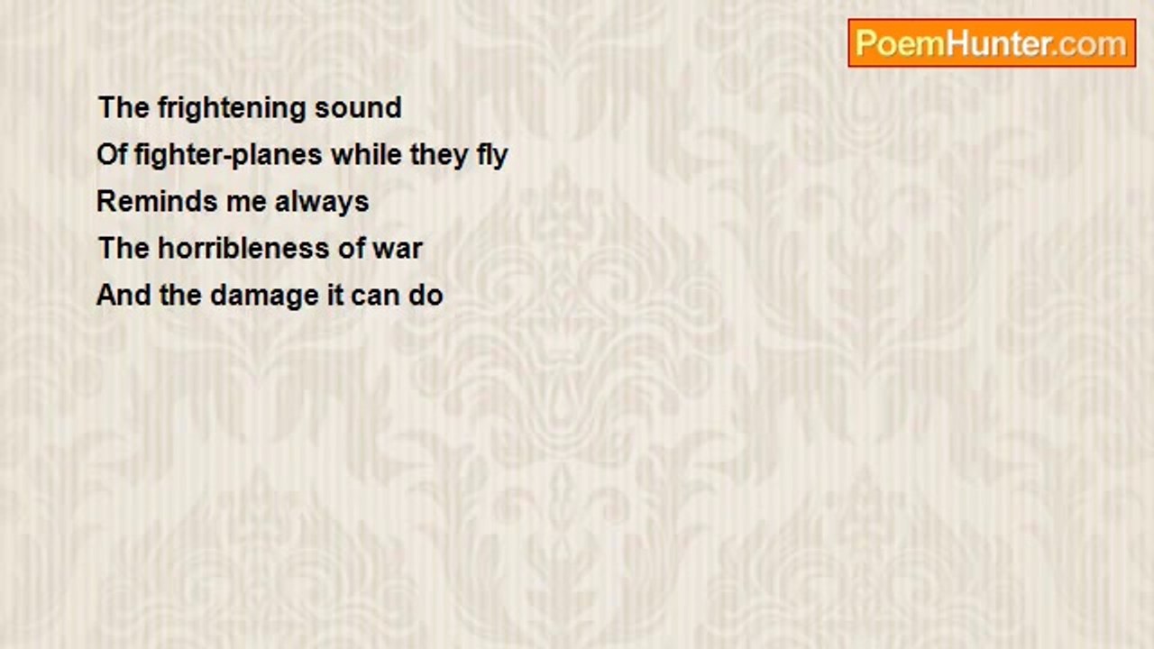 Asif Andalib - The Fighter-planes
