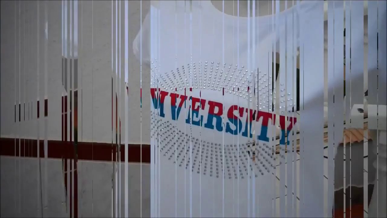 DIVERSITY DANCE T SHIRT FOR SALE ON EBAY LATEST DESIGN BEAUTIFULL BLING TSHIRT
