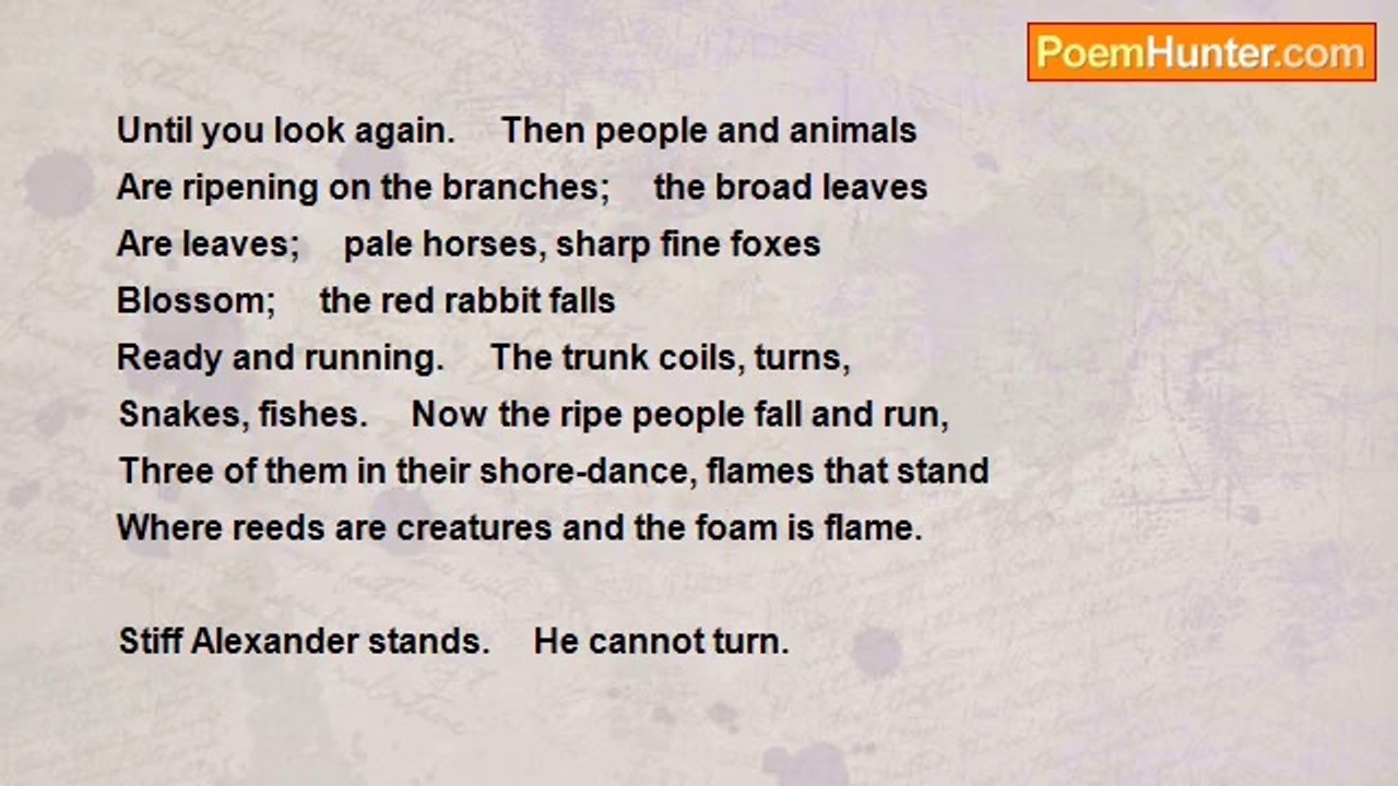 Muriel Rukeyser - The Speaking Tree