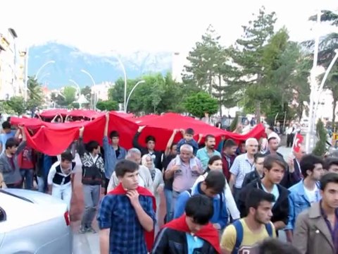 Ülkü Ocaklarından bayrağına sahip çık yürüyüşü