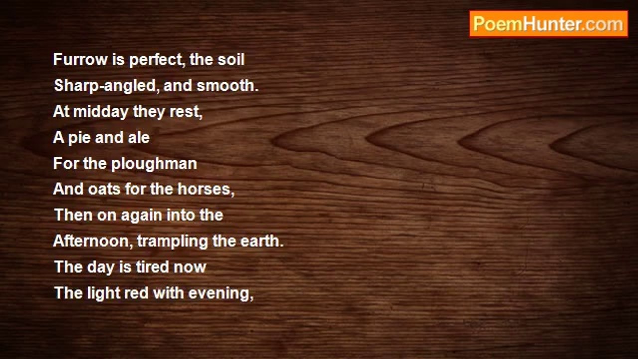 Mike Tonkin - Horses Of The Fields