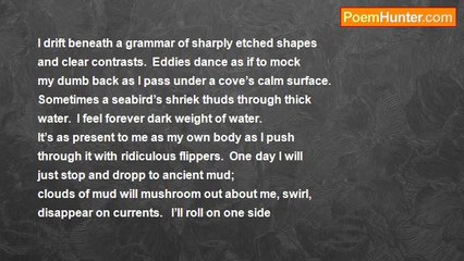 Hans Ostrom - Sea Monster