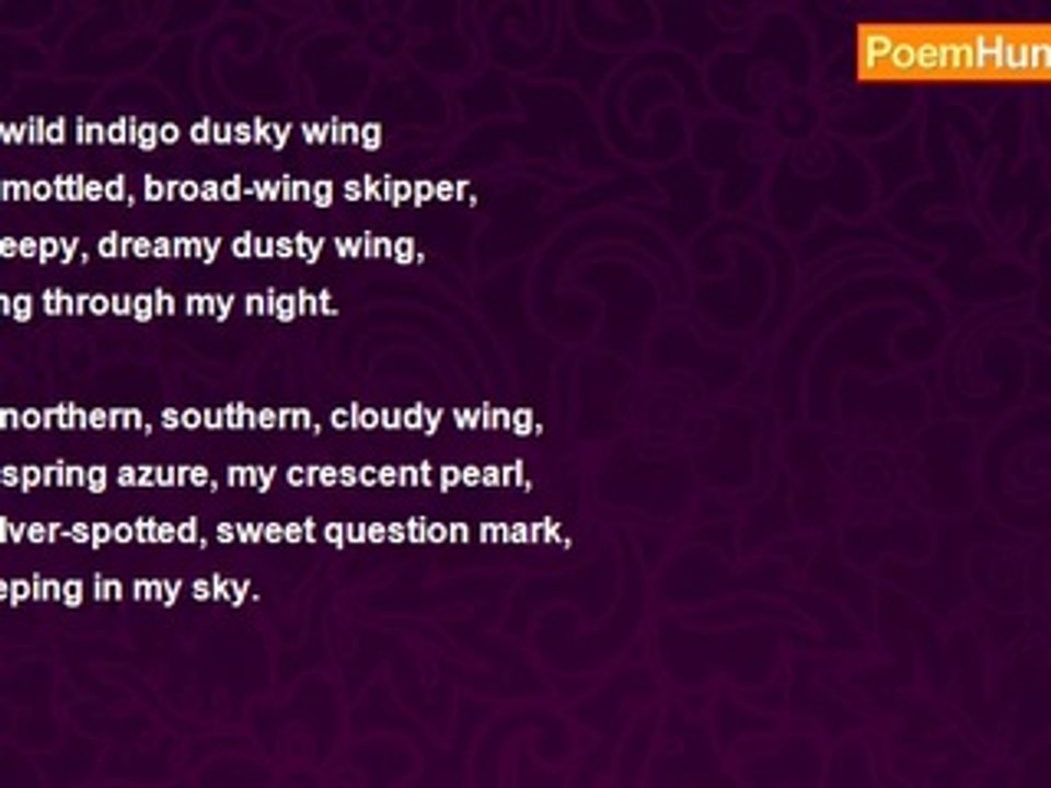 Annie Finch - Butterfly Lullaby