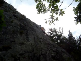 lou paradou 2011 quatro