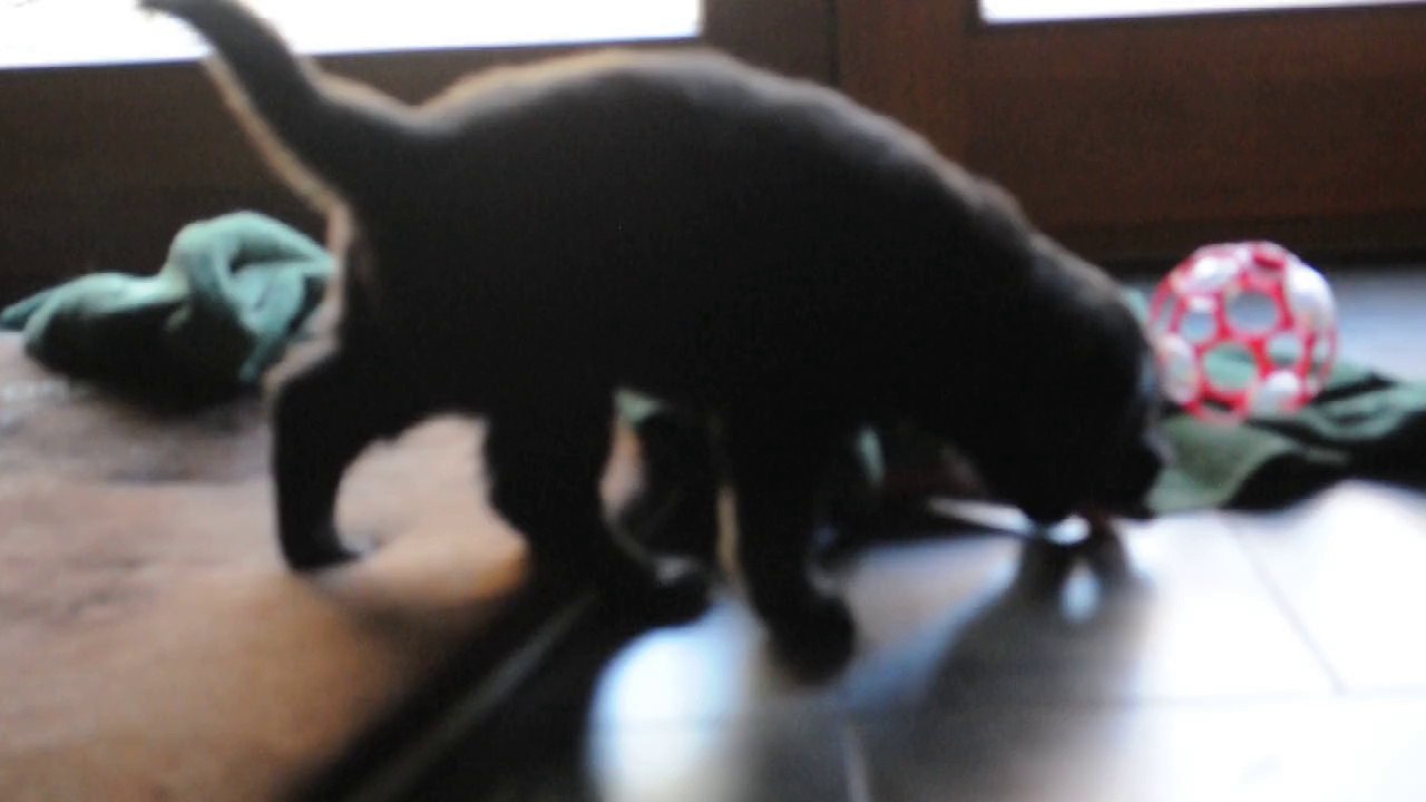 Jaya en pleine forme 100614