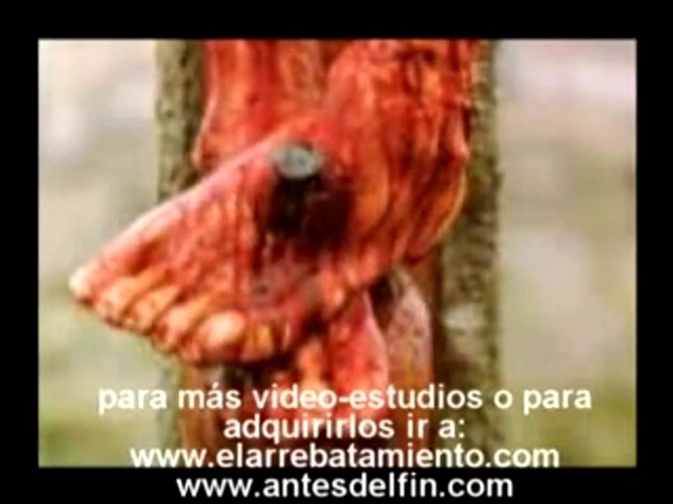 ANTISEMITISMO, RELIGIOSO