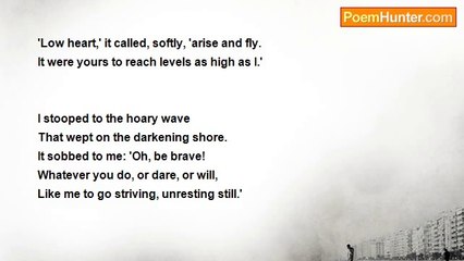 Elizabeth Stuart Phelps Ward - Overtasked