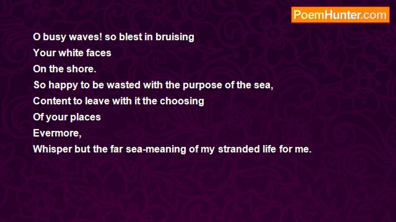Elizabeth Stuart Phelps Ward - Stranded