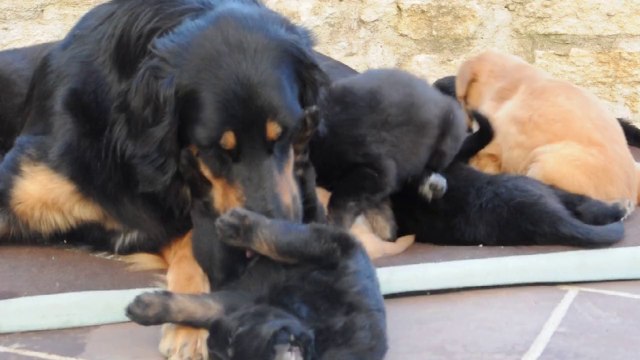 maman tendresse 110614