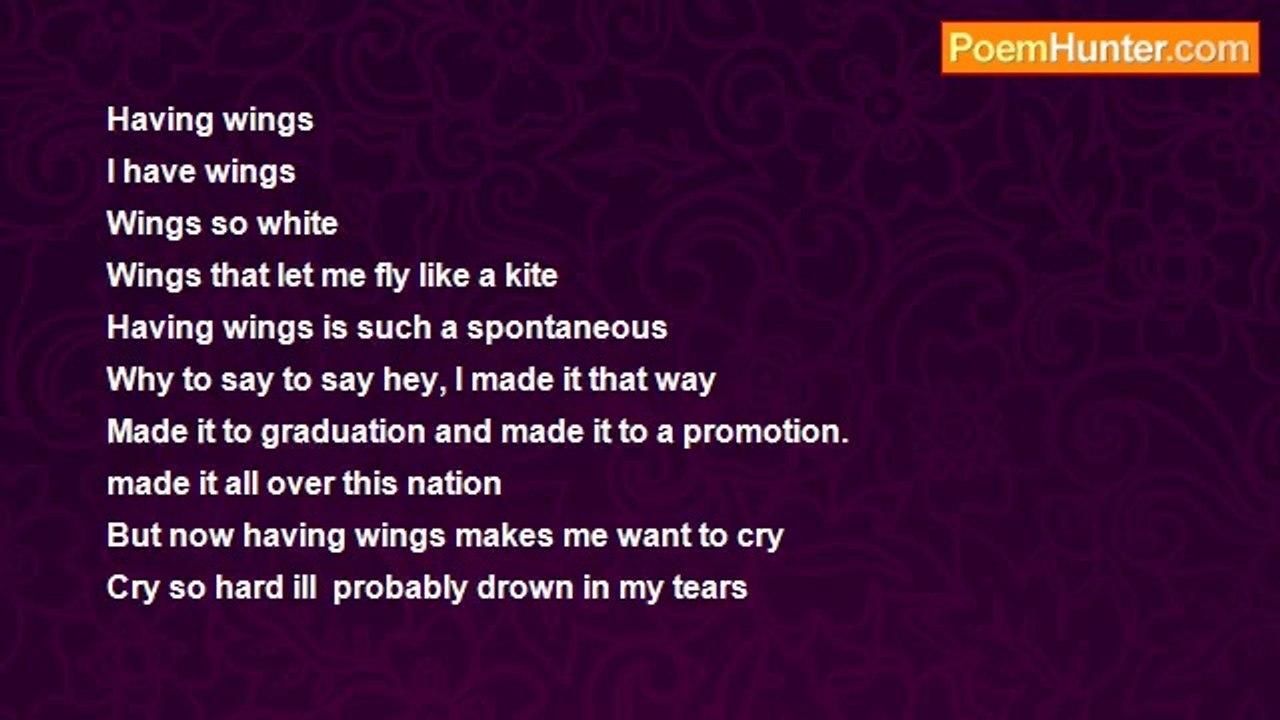 marrissa vera - Having Wings