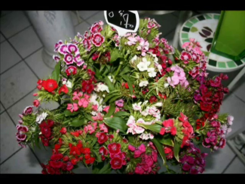 Inauguration fleuriste