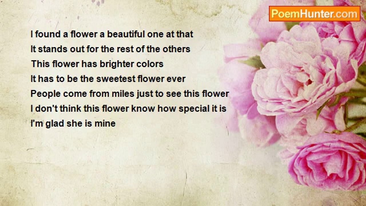 Shane Delaney - sweet flower