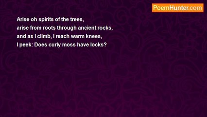 Herbert Nehrlich - Curly Moss