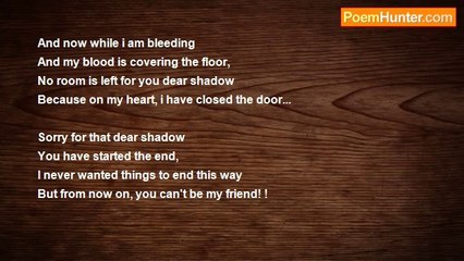 Dana Amer - My Shadow