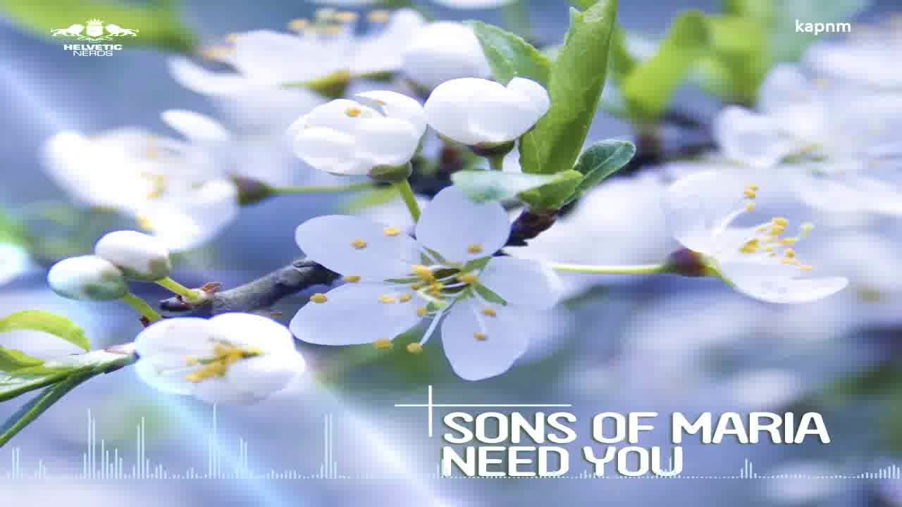 Sons Of Maria - Need You