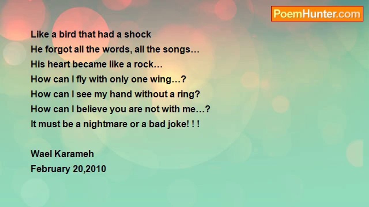 Wael Karameh - A Bird Without Wings! ! ! !