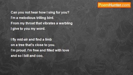 Edwina Reizer - A Bird's Song