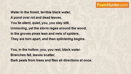 STANLEY PACION - Black Water, An Adaptation of a Theme from a German Movie