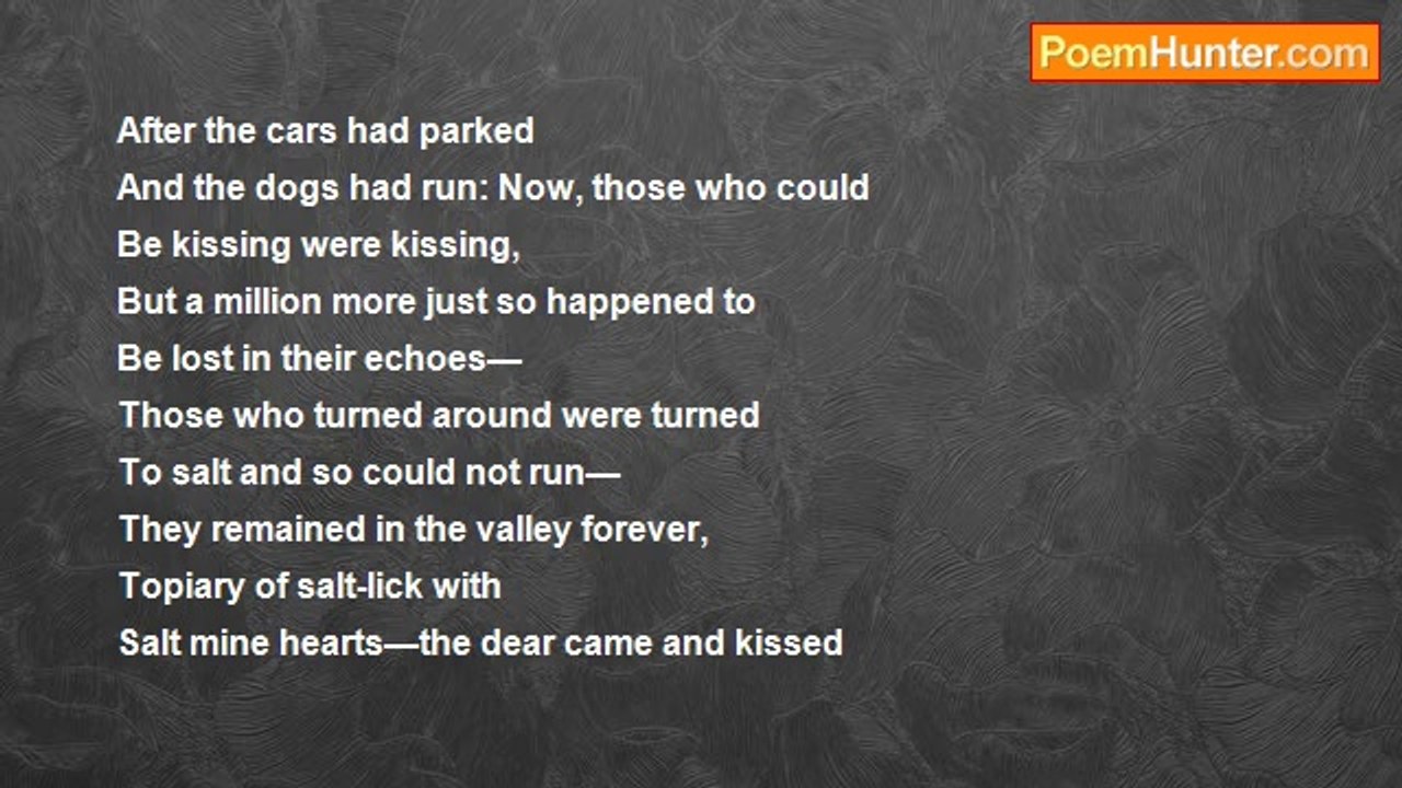 Robert Rorabeck - Waterfall Playing Over Purple Flowers