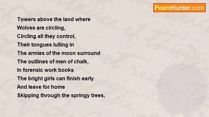 Robert Rorabeck - Brilliant Survivors of The Dark World