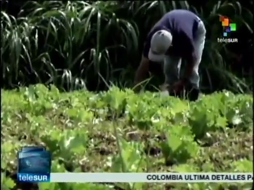 Más que promesas incumplidas dejó a Costa Rica el TLC con EE.UU.