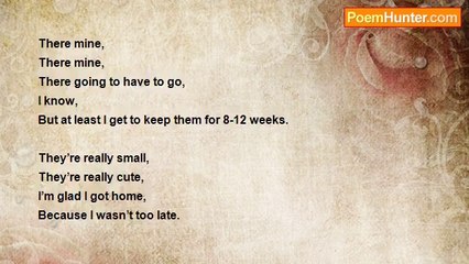 Lily Austin - Got to get home Before it's too late!