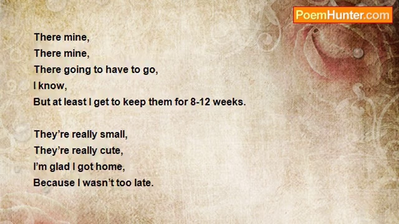 Lily Austin - Got to get home Before it's too late!