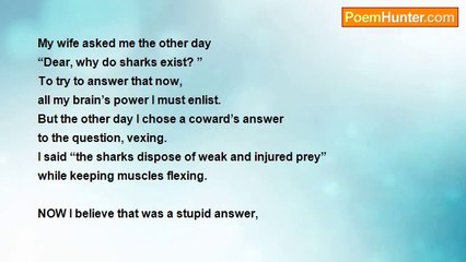 Bri Edwards - Why Are There Sharks? ...... [my wife's question; creation of animals; philosophy? ]