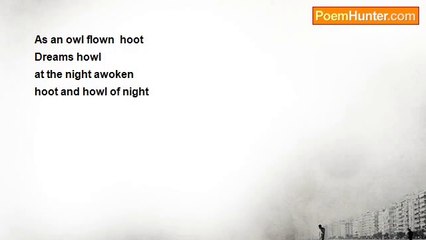 sallam yassin - hoot and howl of night