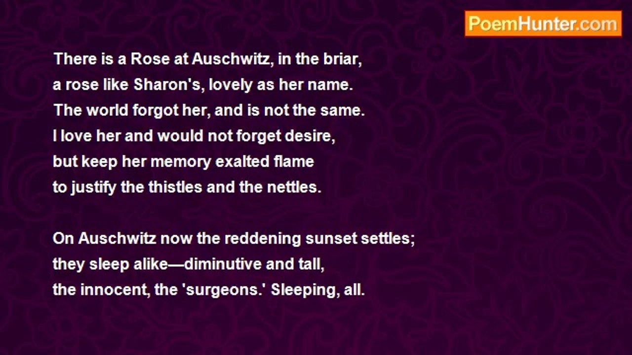 Michael Burch - Auschwitz Rose