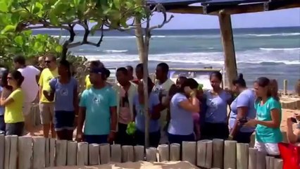 Turtle Picks Brazil in World Cup Opener