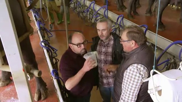 TV3 - Collita pròpia - Les búfales de l'Empordà