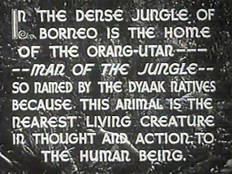 Beast Of Borneo