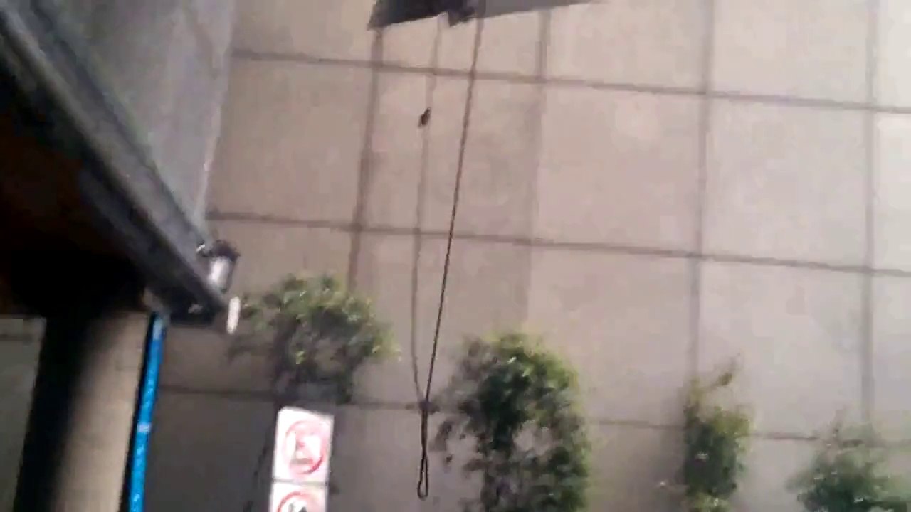 Seat Leon Cupra race car falling off a platform is painful to watch