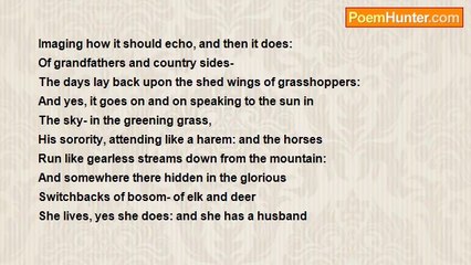 Robert Rorabeck - The Forest's Green Back