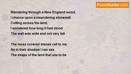 Jim Milks - A hike in the woods