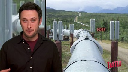 BEER PIPELINE!? - Food Feeder