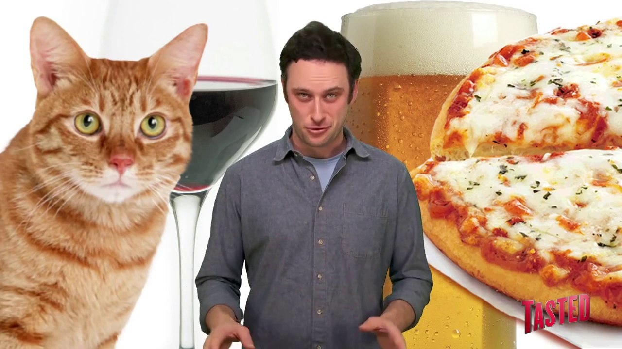 Cat Wine & Pizza Cocktails! - Food Feeder