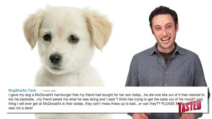 A Dog's McDonald's Review & More - Food Feeder