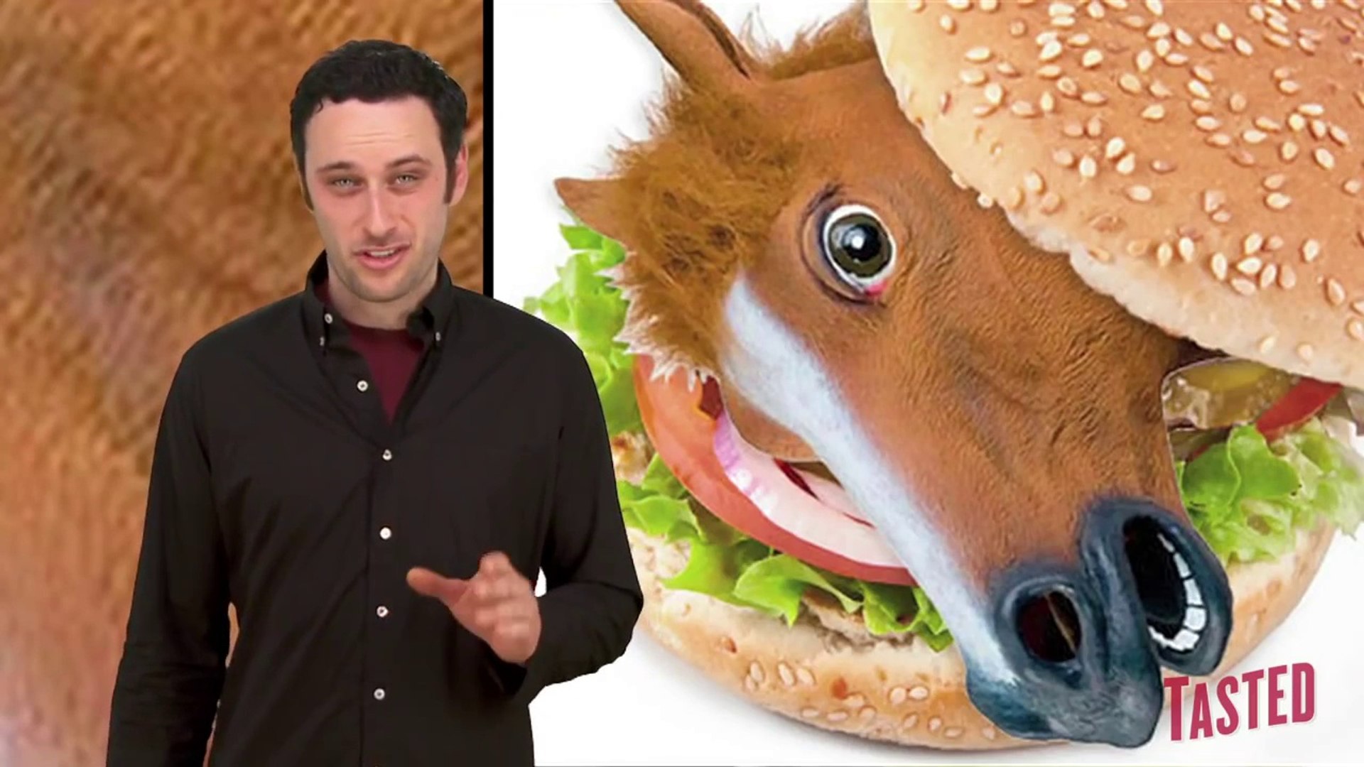 Aldi Horse Meat Has